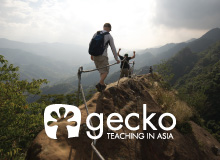 Gecko Asia